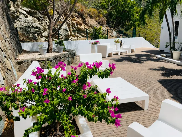 Paved terrace with bougainvillea and white loungers